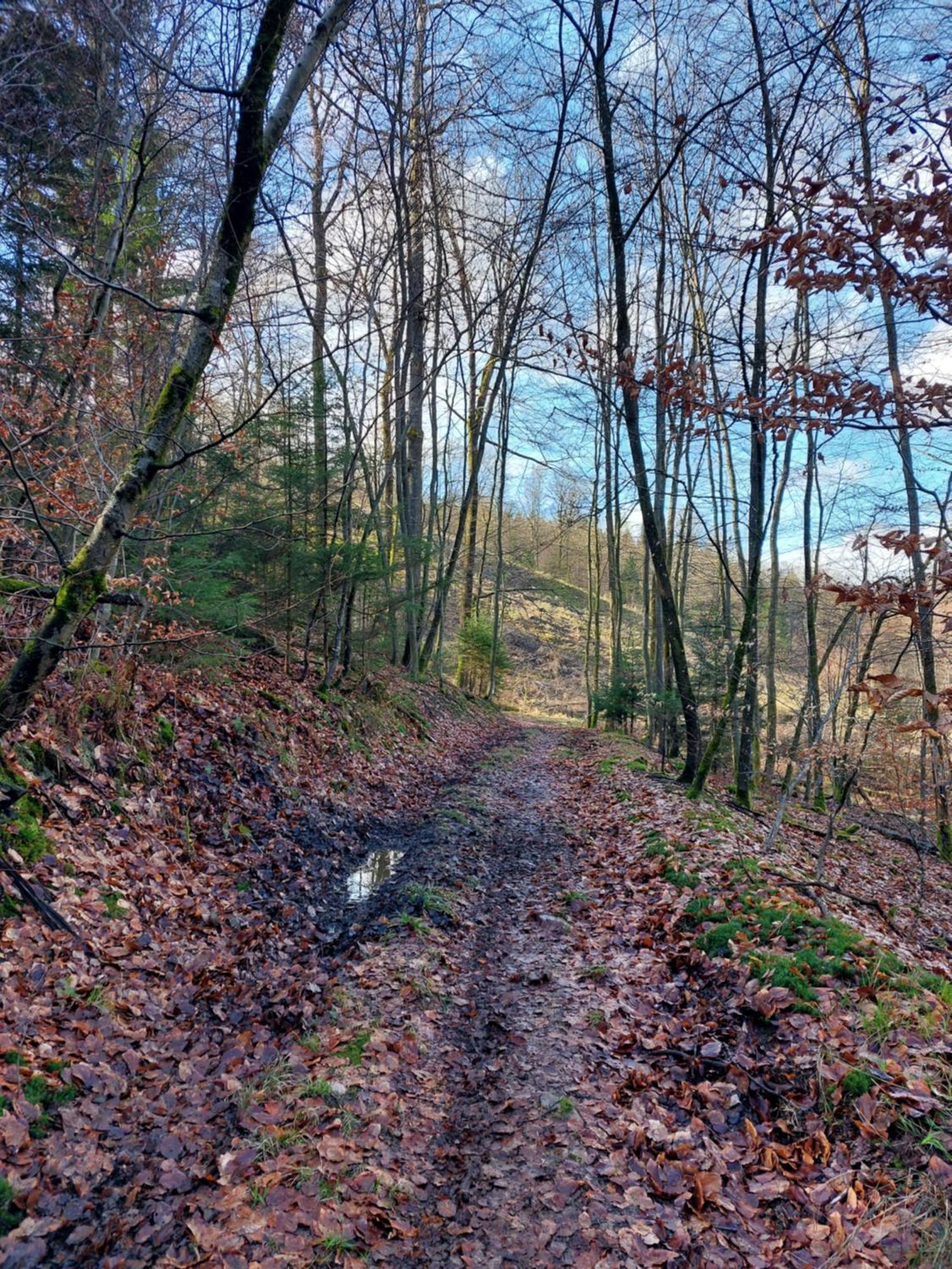 La Cour De Grandmenil Panzió Manhay Kültér fotó